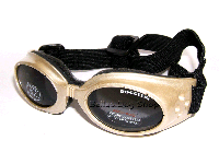 bitte darauf klicken